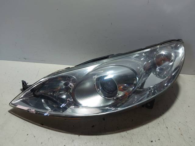 301213273 Peugeot/Citroen