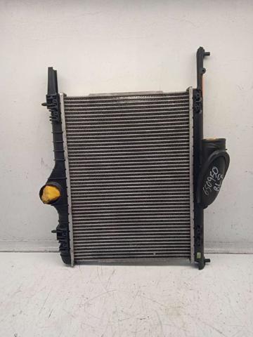 Chłodnica intercoolera 30613906 VOLVO