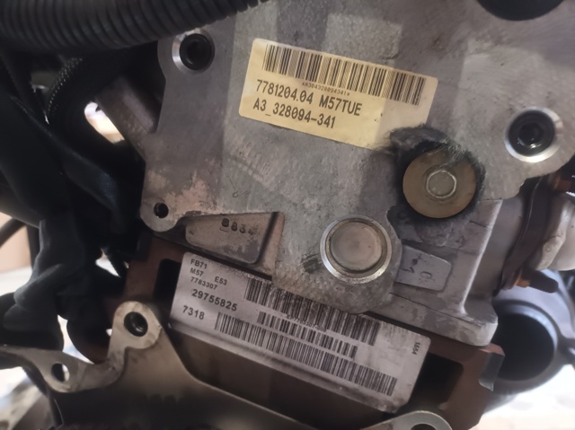 Silnik w komplecie 306D2 BMW