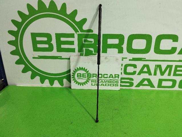 Amortyzator maski Volvo V40 VW