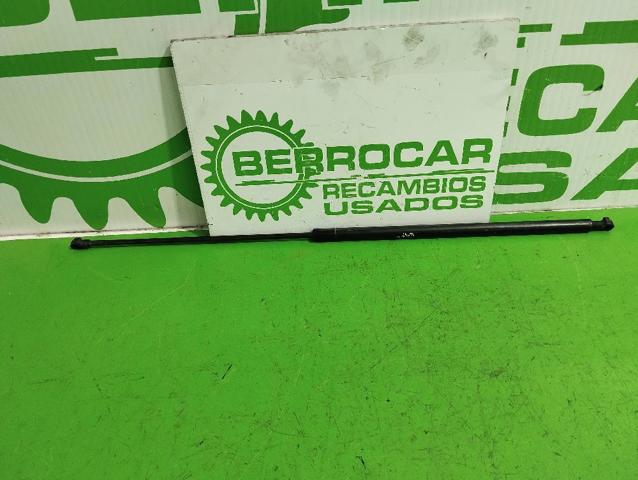 Amortyzator maski Volvo V40 VW