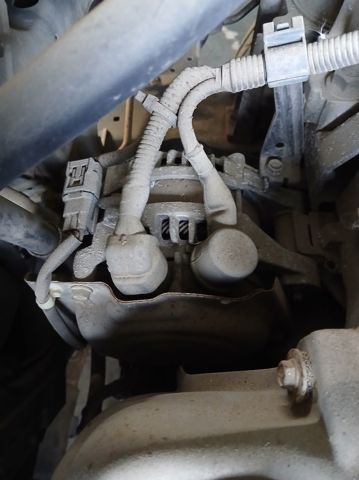31100RZPG01 Honda