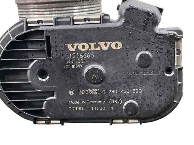 31216665 Volvo