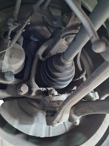 31216855953 BMW