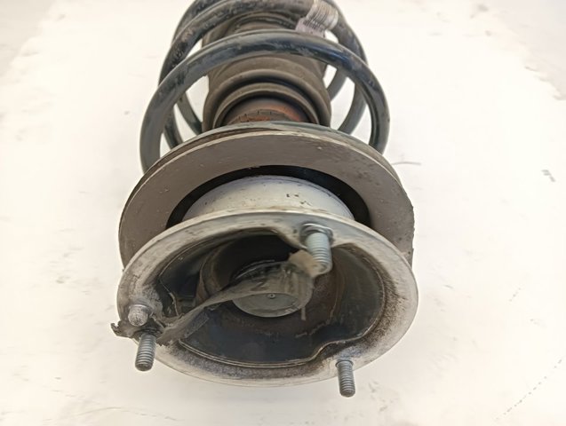 31316786017 BMW