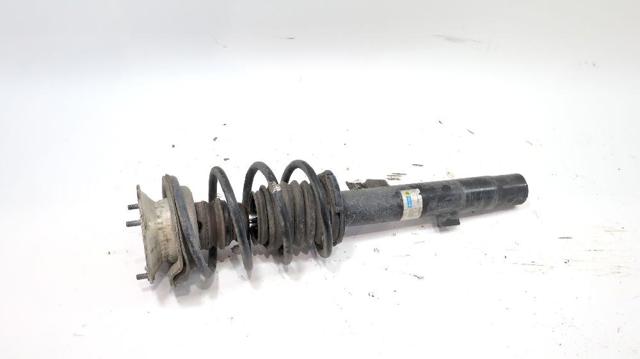 31316786019 BMW