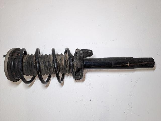 31316786532 BMW
