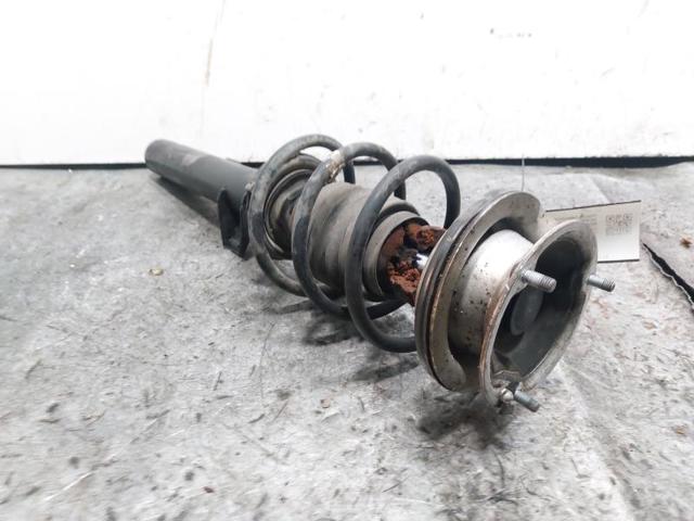 31316796156 BMW