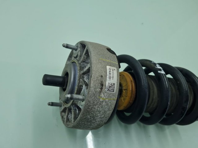 31316851747 BMW