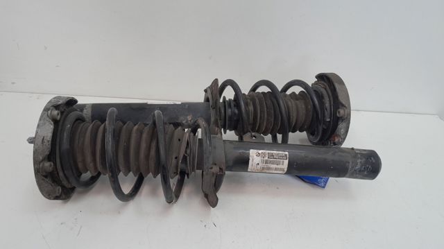 31316861691 BMW