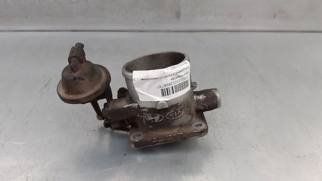 Przepustnica, komplet Hyundai Trajet FO