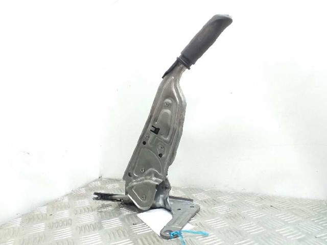360100005R Renault (RVI)