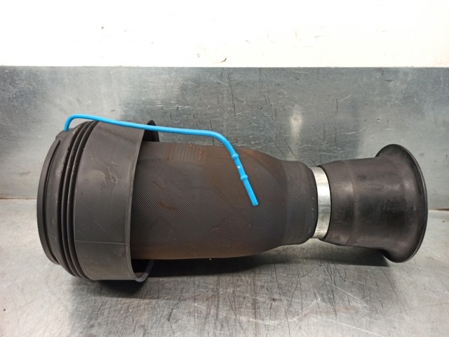 37126790081 BMW