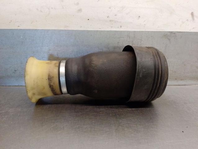 37126790081 BMW