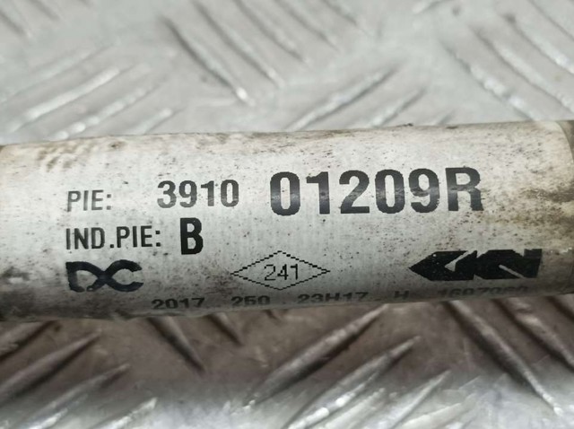 391001209R Renault (RVI)