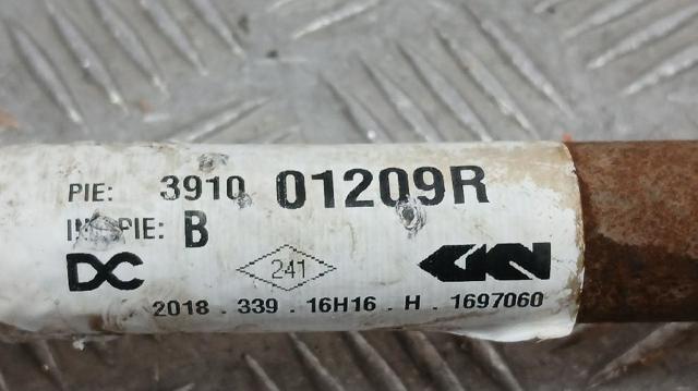 391001209R Renault (RVI)