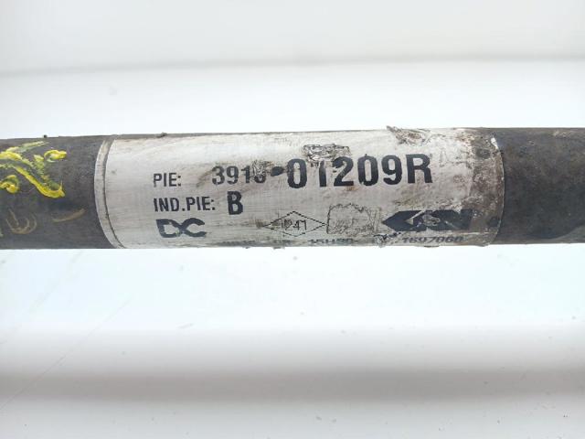 391001209R Renault (RVI)