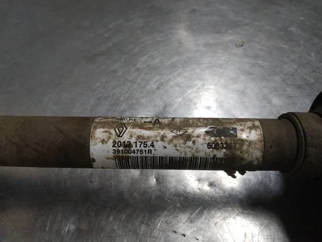 391004751R Renault (RVI)