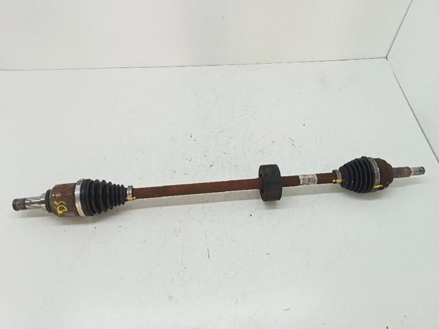 391006553R Renault (RVI)