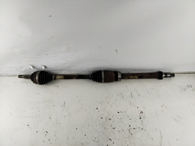 391009101R Renault (RVI)