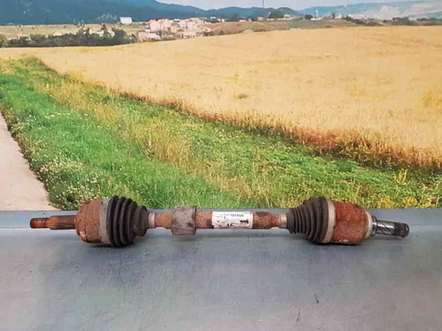 391010195R Renault (RVI)