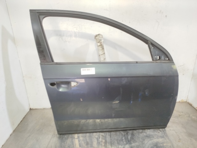 do Volkswagen Passat (365)