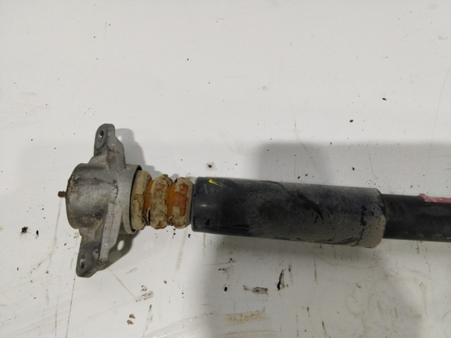 Amortyzator tylny 3C0513049BD VAG