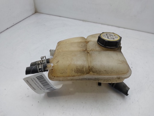 Zbiorniczek wyrównawczy układu chłodzenia 3M5H8K218DG FORD