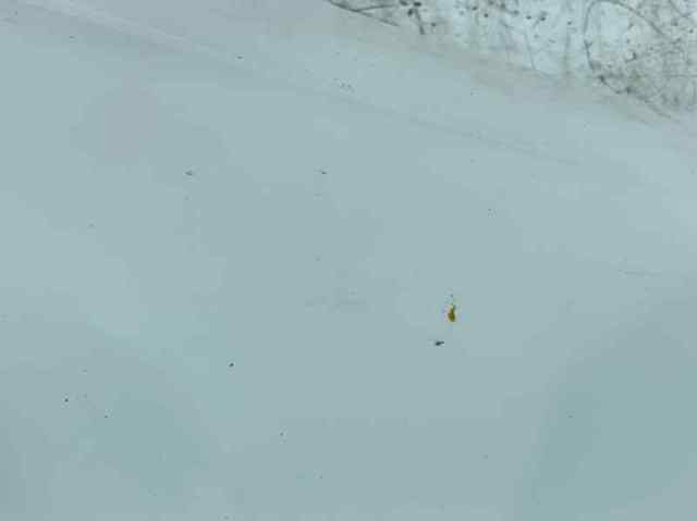 Błotnik przedni prawy Skoda SuperB 2 3T4