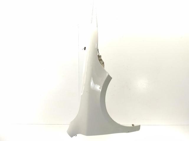 Błotnik przedni prawy 3T0821022 VAG