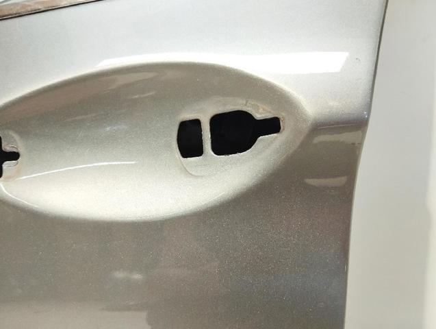 Drzwi przednie lewe BMW 5 F10