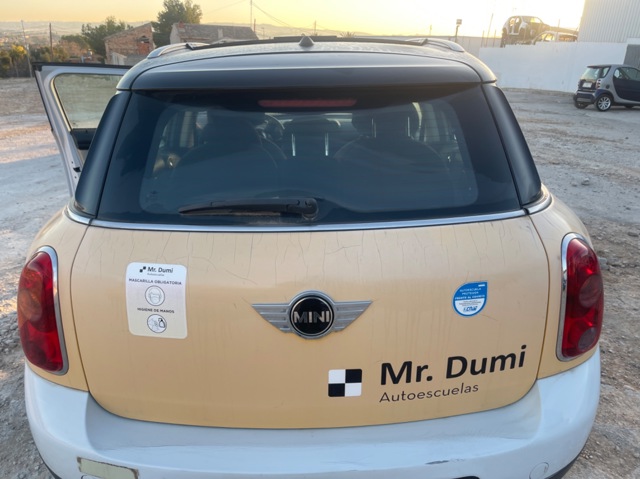 Drzwi MINI COUNTRYMAN