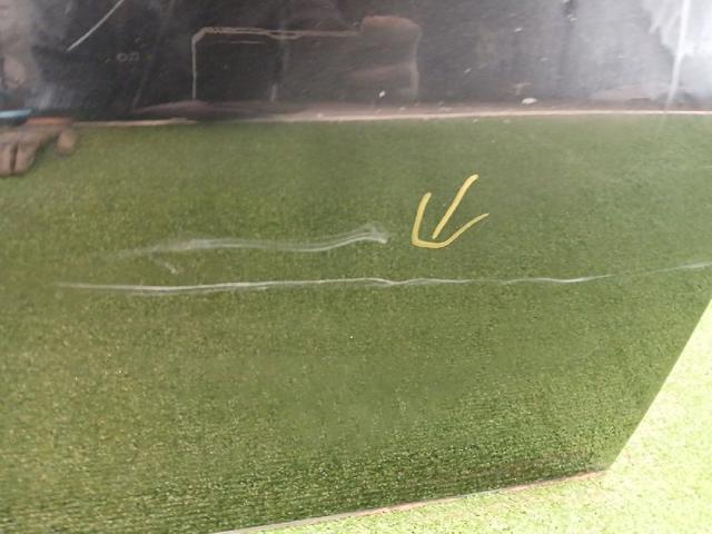 Drzwi przednie lewe BMW X6 E71