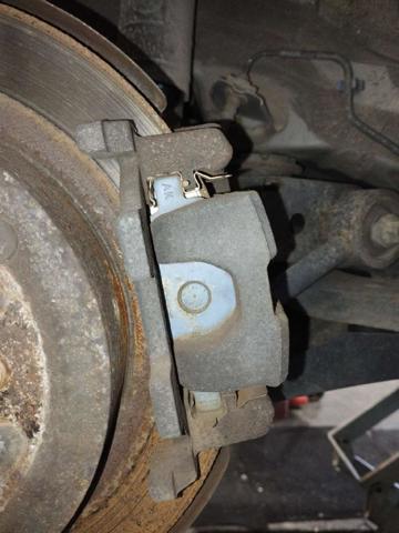 Zacisk hamulcowy tylny prawy 440011AA0A NISSAN