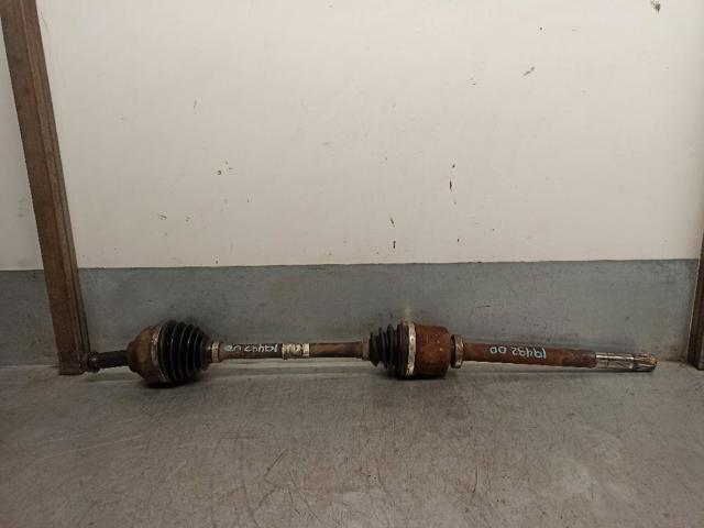 4406169 Opel