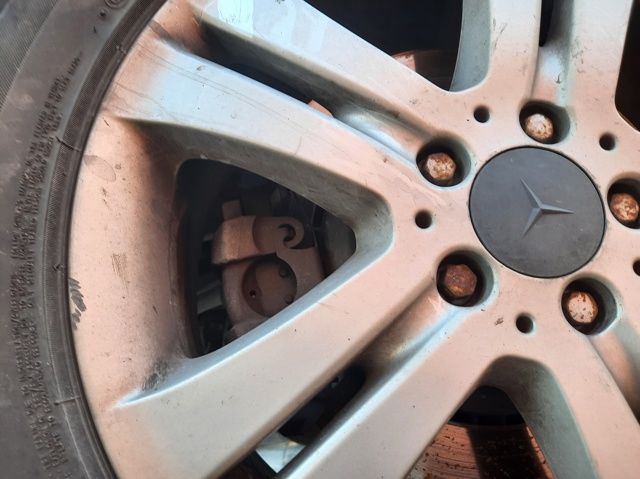 Zacisk hamulcowy tylny lewy 44203983 MERCEDES