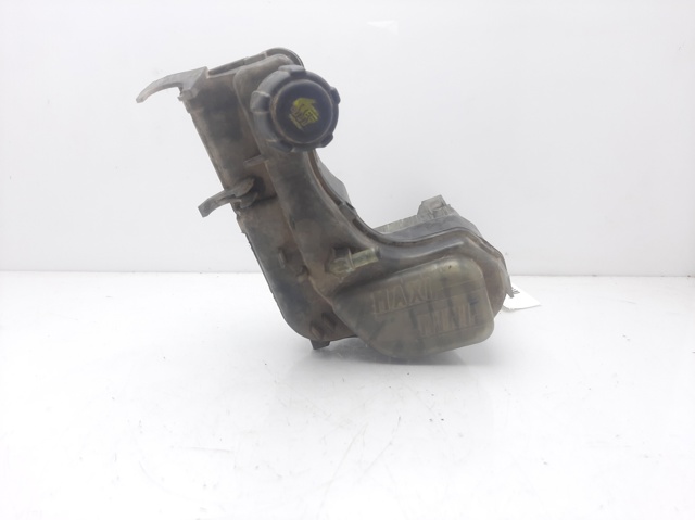 Kupić Zbiorniczek głównego cylindra hamulcowego (płynu hamulcowego) Renault Laguna III KT0, KT1 w dobrej cenie