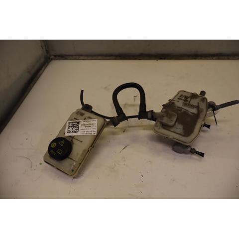 Zbiorniczek głównego cylindra hamulcowego (płynu hamulcowego) 460913484R RENAULT