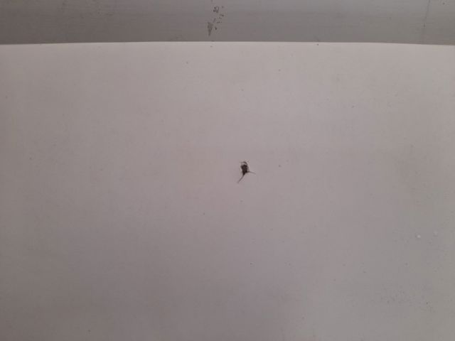 Maska silnika 46743226 FIAT