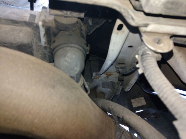 Kupić Sygnał dźwiękowy (klakson) Fiat Ducato III 250 w dobrej cenie