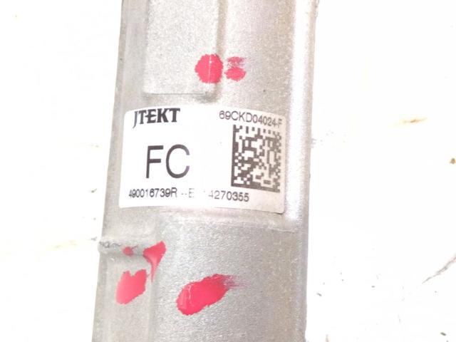 490016739R Renault (RVI)
