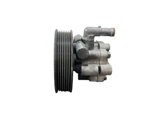 491100100R Renault (RVI)