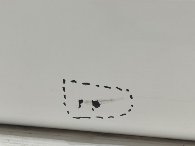 Drzwi tylne lewe 4L0833051 VAG