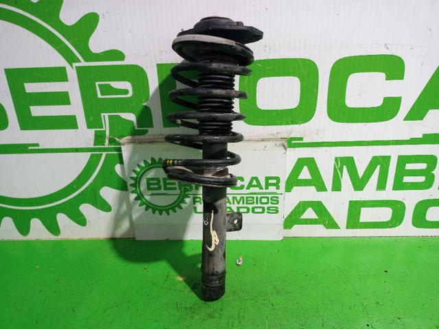 503173 Peugeot/Citroen