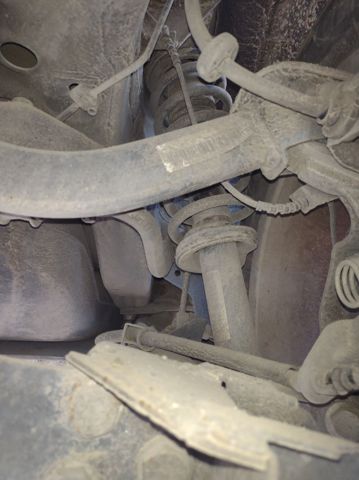 Amortyzator tylny 50515184 FIAT