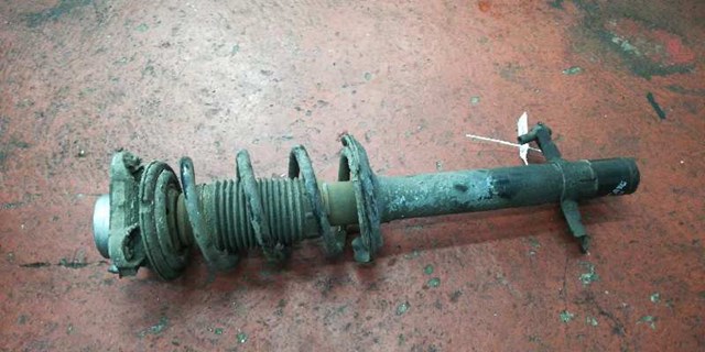 Amortyzator przedni 50707867 FIAT