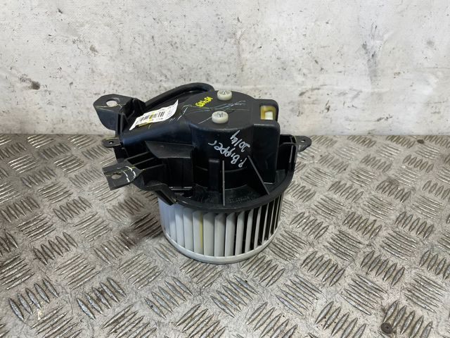 507730100 Peugeot/Citroen