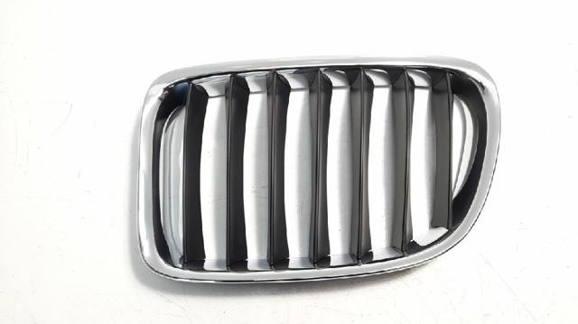 Atrapa grill BMW X1