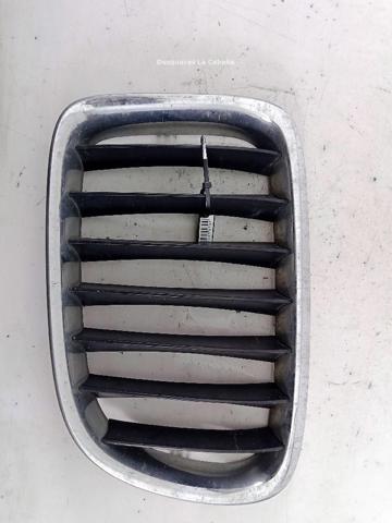 Atrapa grill BMW X1