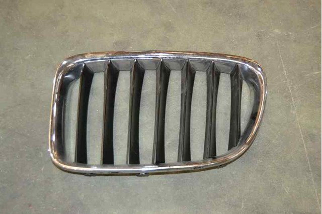 Atrapa grill BMW X1